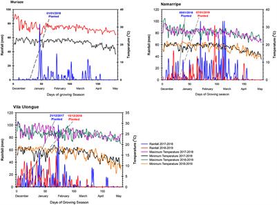 Symbiotic effectiveness of Bradyrhizobium strains on soybean growth and productivity in Northern Mozambique